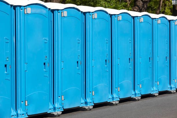 Best Portable Restroom Maintenance and Cleaning  in Canadian Lakes, MI